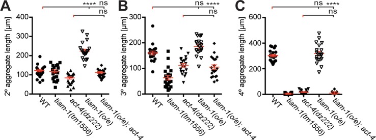 Figure 3—figure supplement 1.