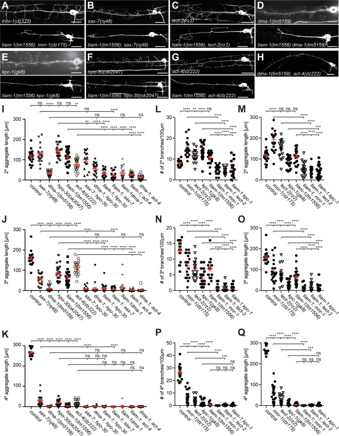 Figure 2—figure supplement 2.