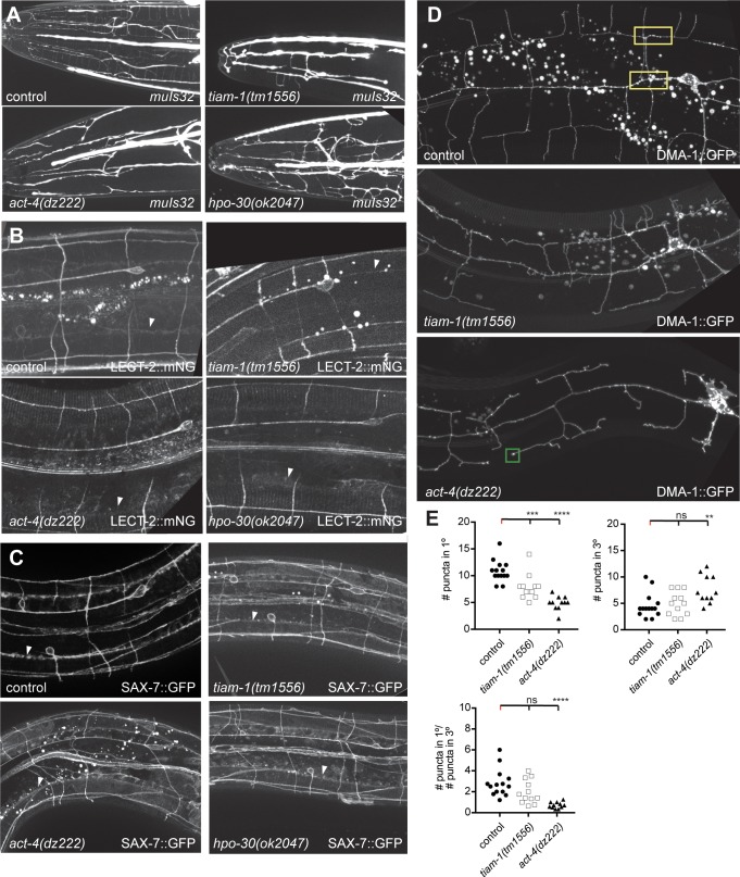 Figure 2—figure supplement 1.