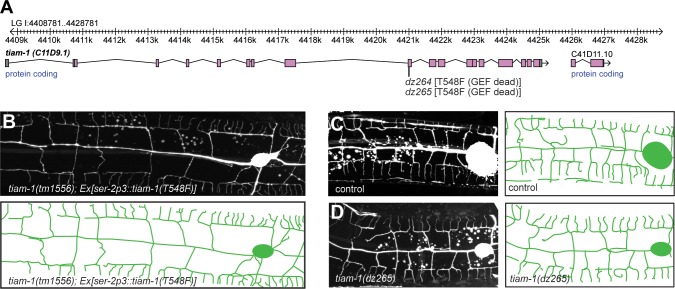 Figure 6.