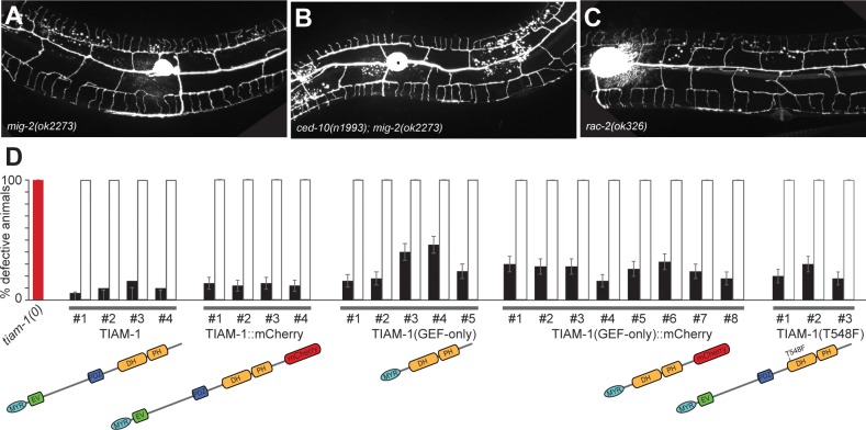 Figure 5—figure supplement 1.