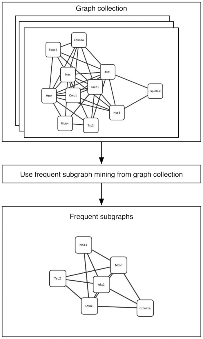 Figure 5: