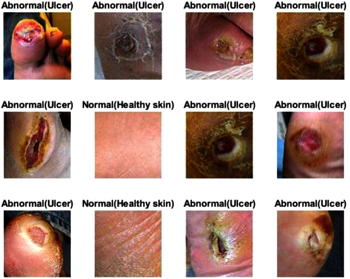 Figure 14