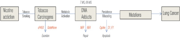 Figure 1: