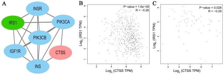 Figure 7.