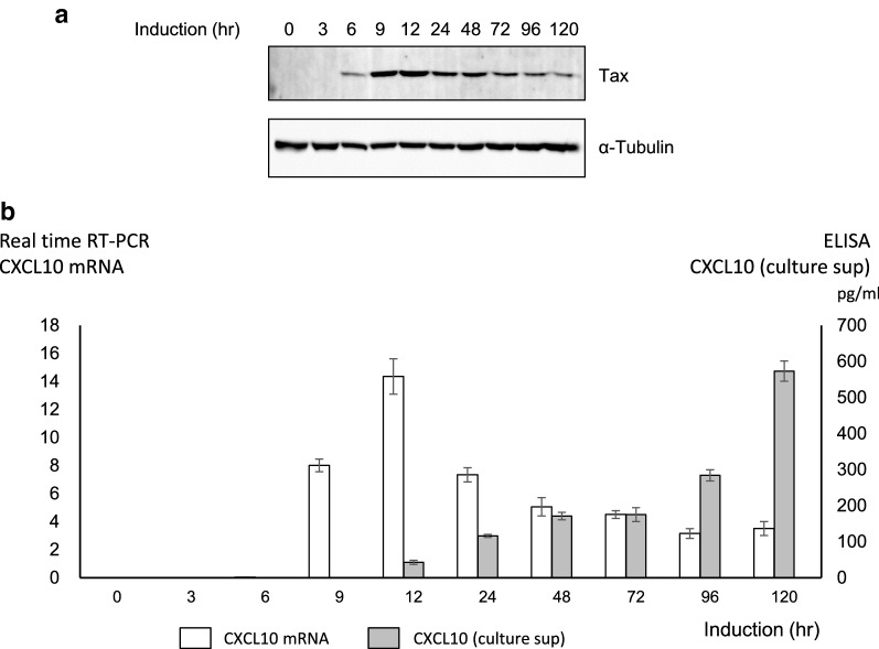 Fig. 4