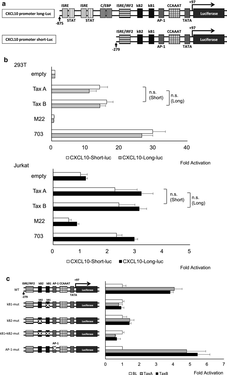 Fig. 6