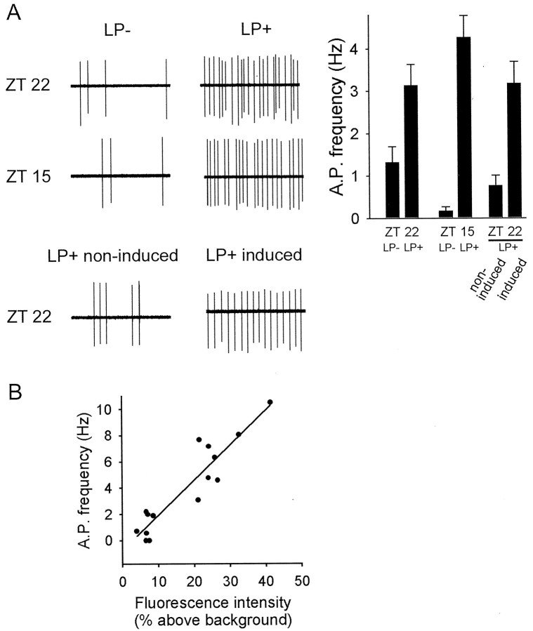 Fig. 2.