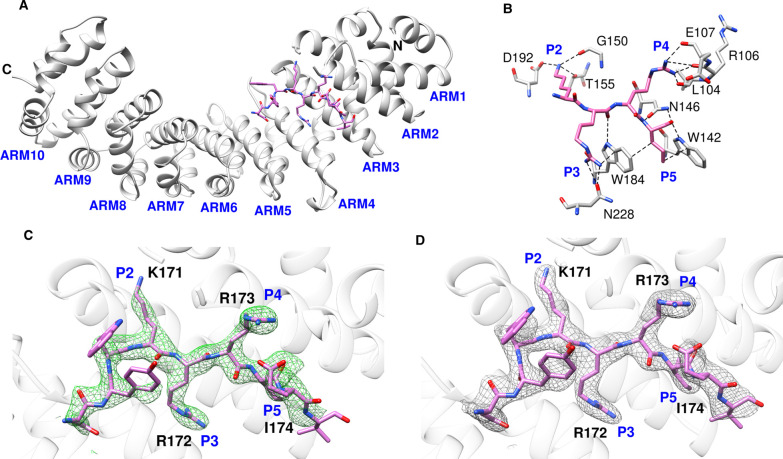 Figure 2.