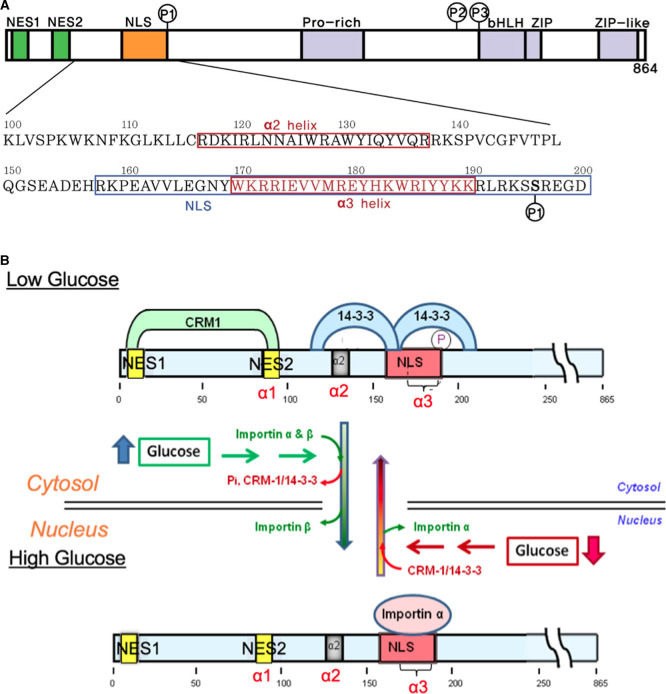 Figure 1.