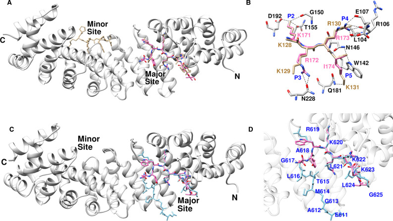 Figure 7.