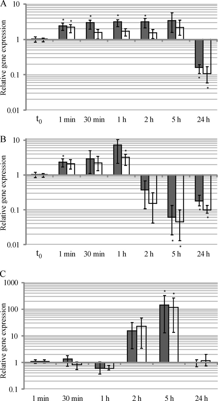 FIG 2