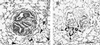 FIG. 5