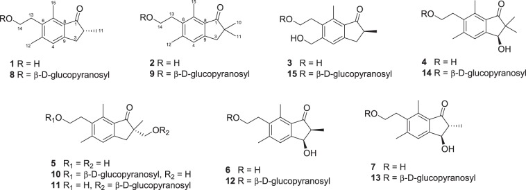 Fig. 2