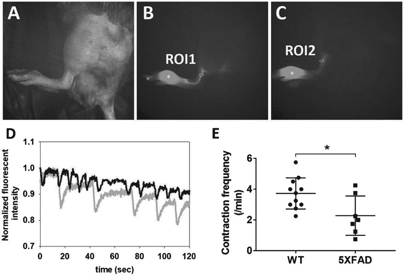 Fig. 4.