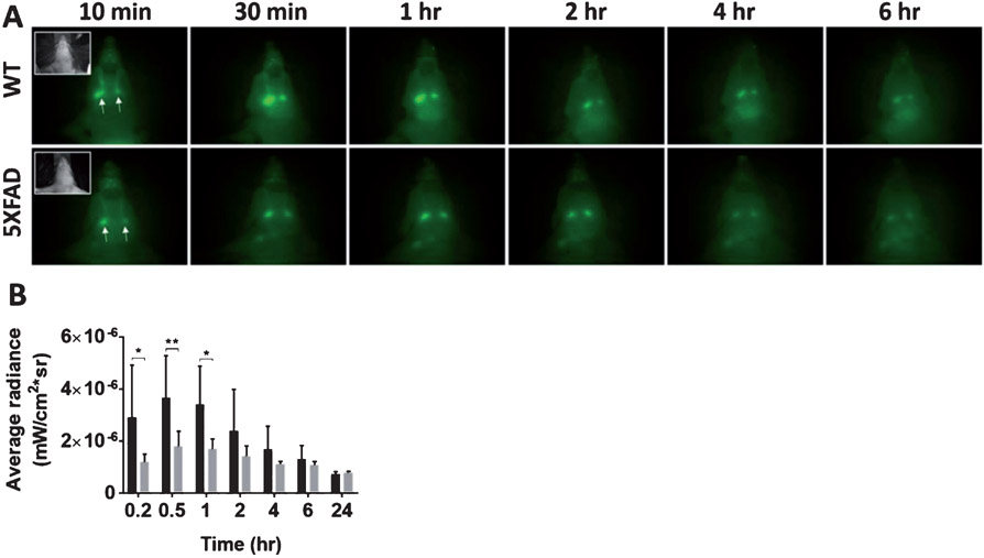 Fig. 3.