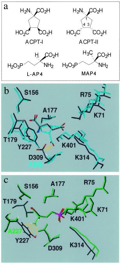 Fig 2.