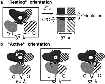 Fig 1.