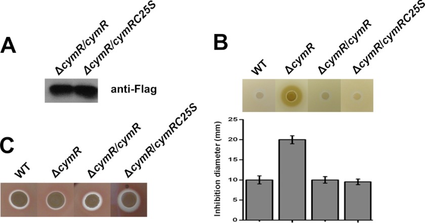 FIGURE 3.