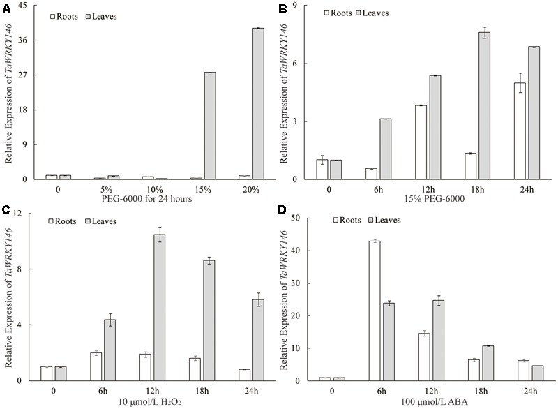 FIGURE 3