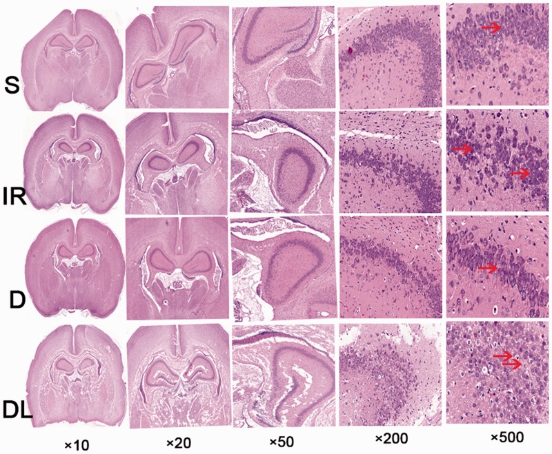 Figure 2.