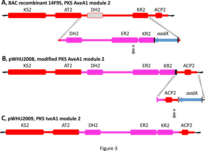 Fig. 3