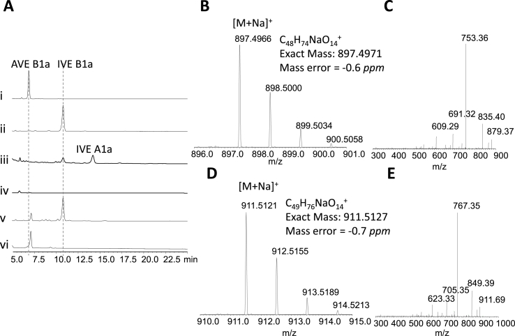 Fig. 4