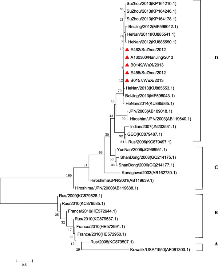 Fig. 8