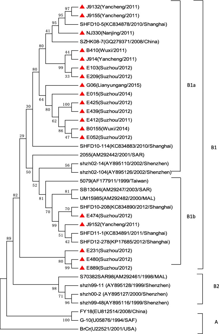 Fig. 6