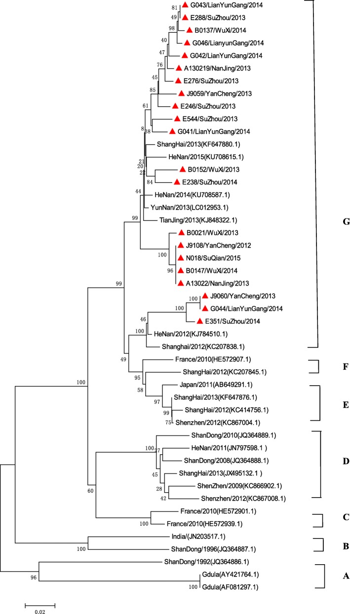 Fig. 7