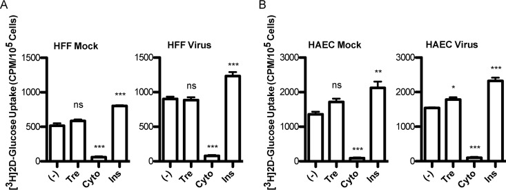 FIG 6