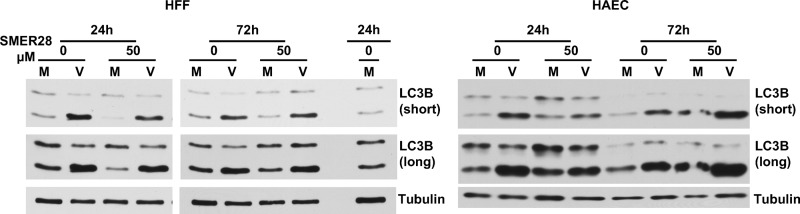 FIG 14