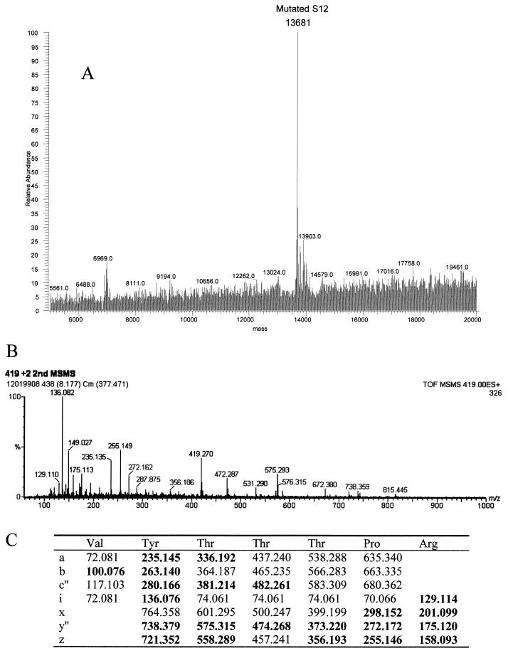 FIG. 6