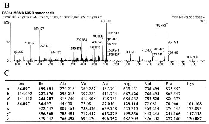 FIG. 7