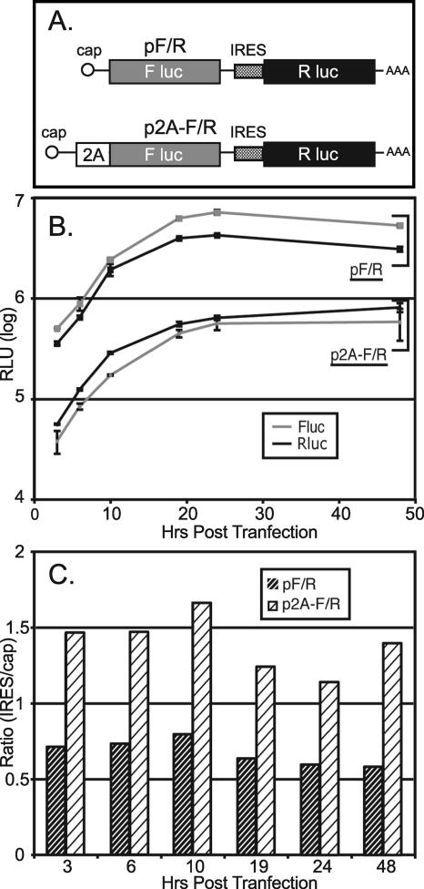 FIG. 7.