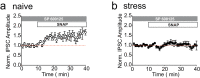Figure 1—figure supplement 1.