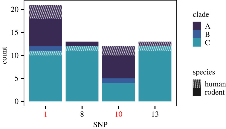 Figure 5. 