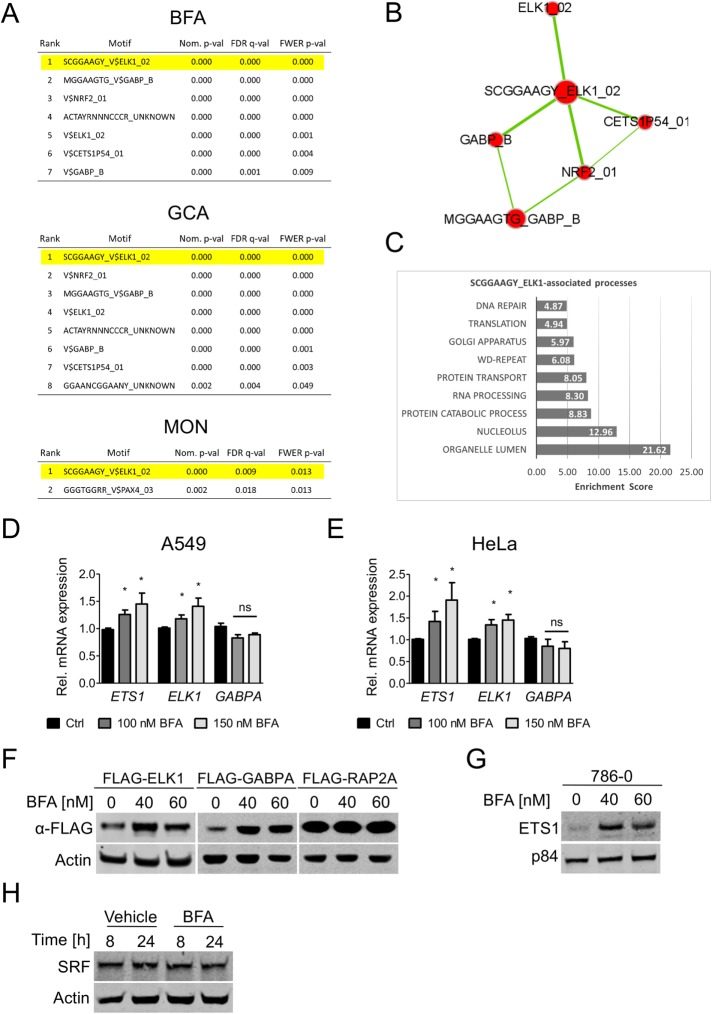 FIGURE 2: