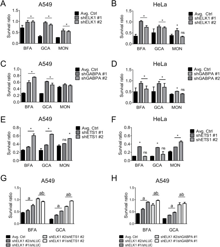 FIGURE 3: