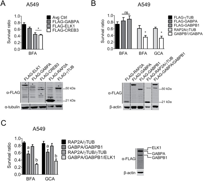 FIGURE 4: