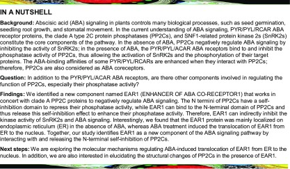 graphic file with name TPC_TPC201700875R1_fx1.jpg