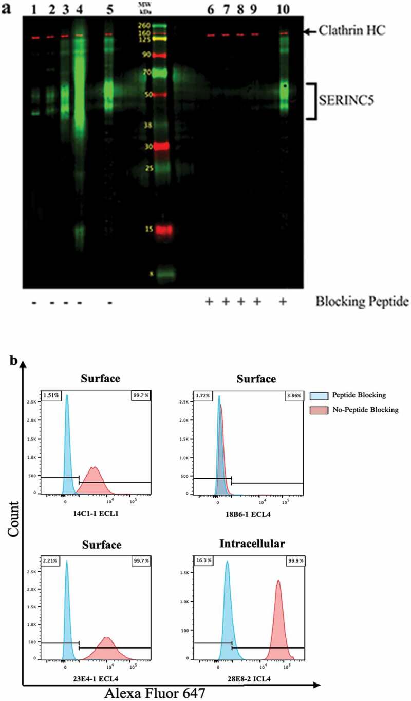 Figure 4.