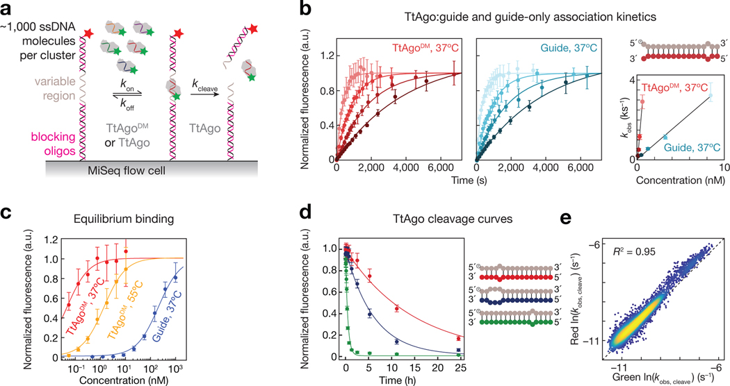 Figure 1 |