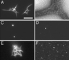 FIG. 10