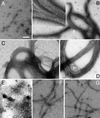 FIG. 9