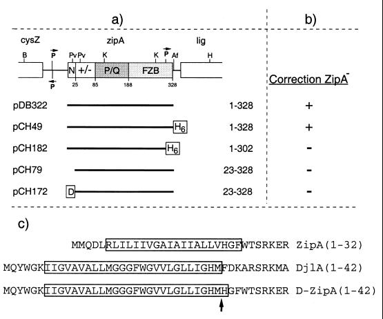 FIG. 11