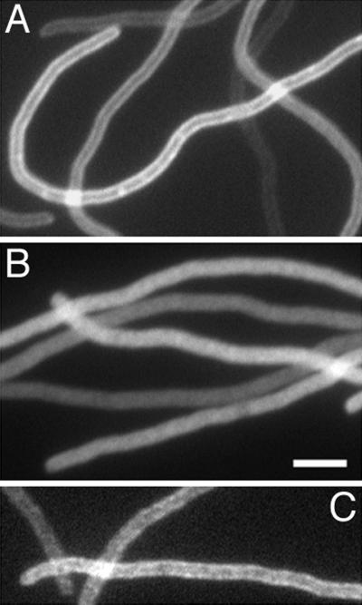 FIG. 8