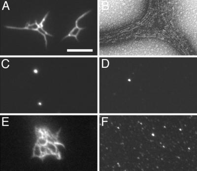 FIG. 10