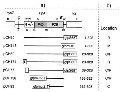 FIG. 6