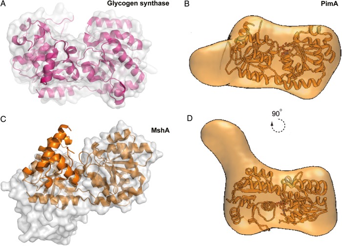 Fig. 10.